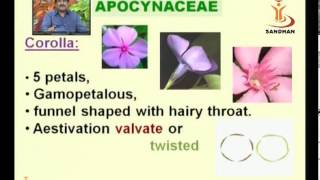 SANDHAN (AGIC): Apocynaceae Asclepiadaceae Family