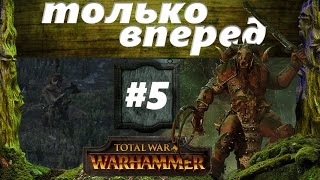 Прохождение Око за око Total War: Warhammer - #5