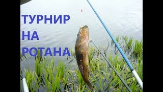РУССКАЯ РЫБАЛКА 4. РЫБАК↔РЫБАКА.ТУРНИР НА РОТАНА. Оз. Комариное.