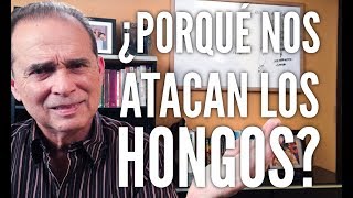 Episodio #1204 ¿Por qué nos atacan los hongos?