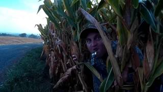 September goose hunting PA 2016 (MLO)