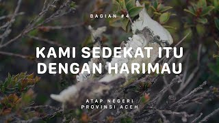 GUNUNG LEUSER - Atap Negeri Aceh #4