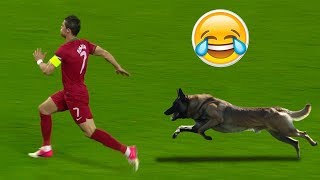 Komik Futbol Anları | Futbol Oynamak İsteyen Hayvanlar