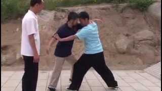 Daqingshan Full Time Taijiquan Training Clips 2009