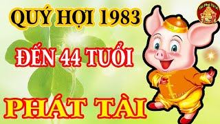 Tiết Lộ Chấn Động Tử Vi Tuổi Quý Hợi 1983 Cực Phất 44 Trở Đi Tiền Tiêu 3 Đời Không Hết