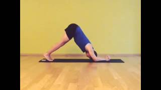 Makarasana - Dolphin Pose
