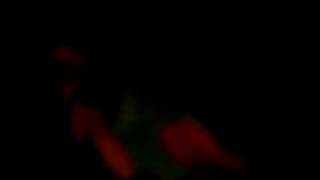 MOV00230