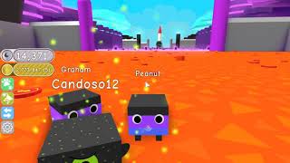 pet simulator magari vip server