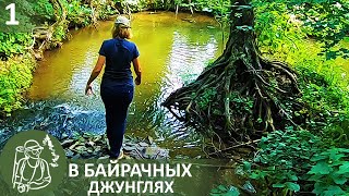 ⛺ Бушкрафт-поход в лес с двумя гамаками: дикие животные, непролазные дебри, бивак | Серия 1