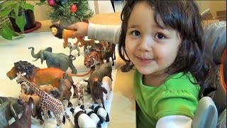 Schleich Safari My 3 Year Old Daughter Collection She Recognize a Lot of Animals