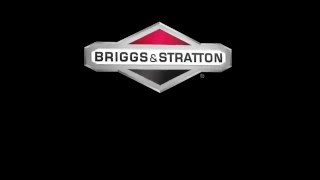 Почему выбираем Briggs & Stratton