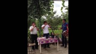 Zamin. Borcali. Munasibin. Toyunda. Cosdu