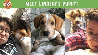 Lindsay got a PUPPY!!! - Kickstarter: QUEER KID STUFF