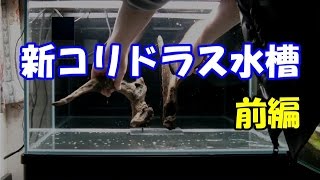 新コリドラス水槽　前編