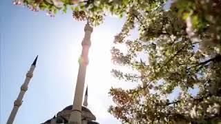 Самое интересное видео в истории ютуба(19)