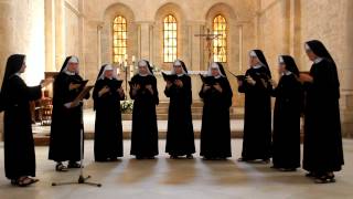 Puer natus est nobis