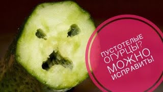 Пустотелые огурцы? Как исправить?!