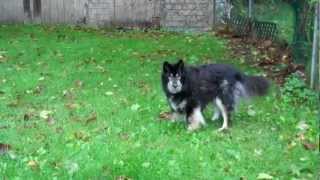 Test Flip UltraHD U260