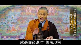 安心丨“心不颠倒是阿弥陀佛的加持 不是自己的功夫☀”