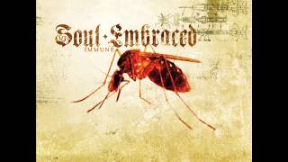 Soul Embraced - Someone Just Walked Across My Grave