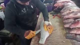 Разделка 6кг толстолобика на рынке в г.Махачкала РД. Самая быстрая разделка рыбы. Рыба разделка