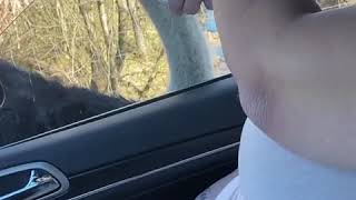 SSBBW día de zoológico