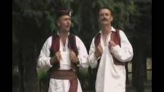 Bosanski Zubori - Skorpija