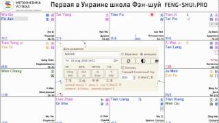 Из чего состоит карта  Цзы Вэй Доу Шу?