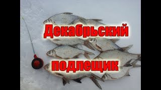 Подлещик на черта в декабре, Туймазинское водохранилище,хороший клев