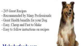 pet food recipes book