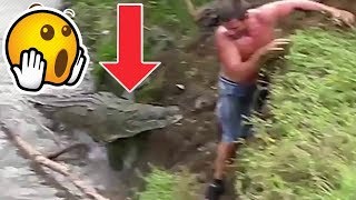 Amazing WILD Animal Encounters ? 3 ?
