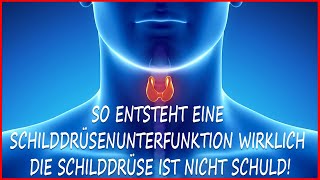 SO entsteht eine SCHILDDRÜSENUNTERFUNKTION - DAS sind WIRKLICH die URSACHEN!