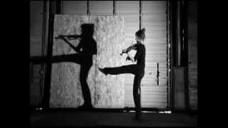 Lindsey Stirling - Shadows. - FaireFox - tv.
