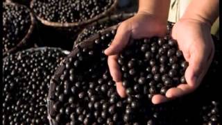 Линия Detoxamin Детоксамин на основе цеолита