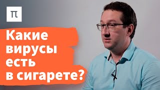 Вакцины на основе вирусов растений — Николай Никитин 