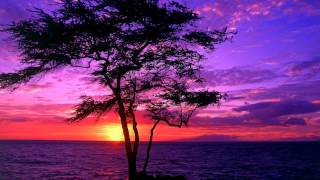 Yasmin Levy - Naci en Alamo (J.Viewz Remix)