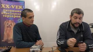 Самсунг 8262 греется и разряжается батарея - онлайн помощь