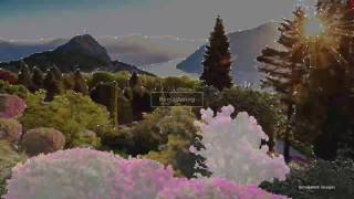 OLED-телевизор Sony 4K