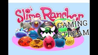 Slime Rancher Стрим # 23 ТАЙНИКИ ГОБСОНА