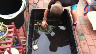 Miles and Tuck the Turtle