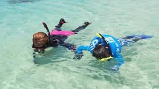 Tabata Reef Tourer Collection