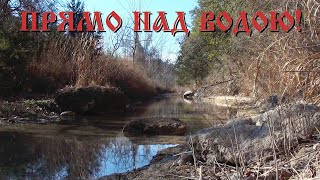 Полёт .50 BMG над водной гладью | Сломанное ранчо | Толмачит полосатый конь