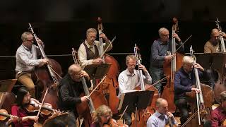 CSO Bassist Mark Kraemer on Bartók's Concerto for Orchestra