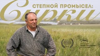Степной Промысел: Сурки (Промысловая Охота в Казахстане)