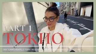 VLOG #33. Бюджетное путешествие в Токио, лес самоубийц, гора Фудзи