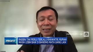 Soal Pelemahan Rupiah, Raden Pardede: Jangan Terlampau Khawatir!