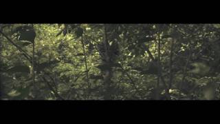 The Deadliest Game (Canon HV40 short film)