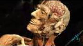 Body Worlds Exposition: Part 1
