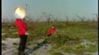 Redshirt Blues