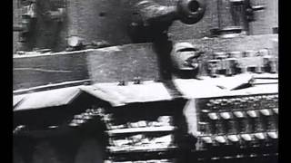 T6 Tiger